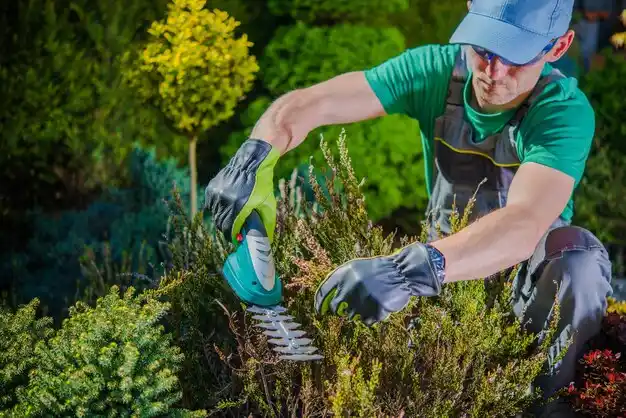 landscaping services Brusly